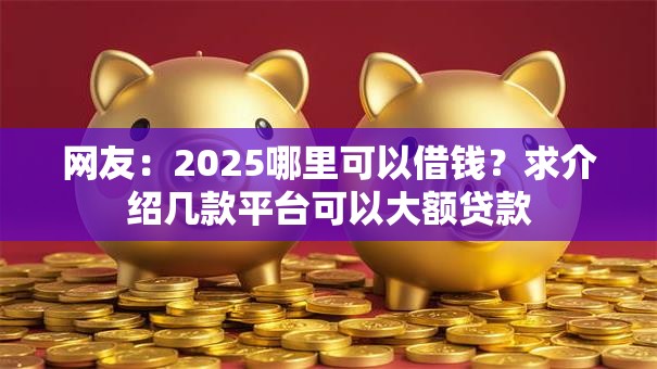 网友：2025哪里可以借钱？求介绍几款平台可以大额贷款