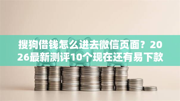 搜狗借钱怎么进去微信页面？2026最新测评10个现在还有易下款的平台