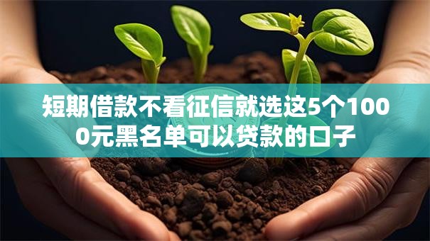 短期借款不看征信就选这5个1000元黑名单可以贷款的口子 短期借款不看征信就选这5个1000元黑名单可以贷款的口子