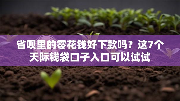 省呗里的零花钱好下款吗？这7个天际钱袋口子入口可以试试