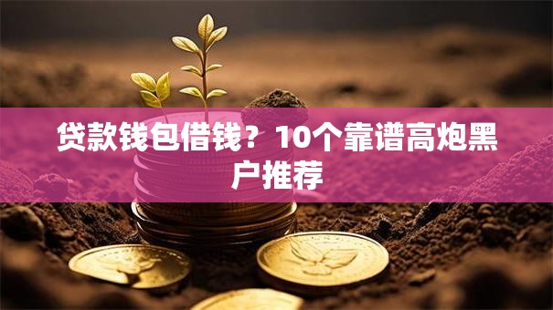 贷款钱包借钱？10个靠谱高炮黑户推荐