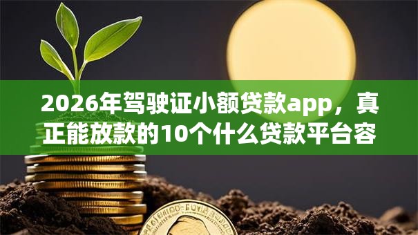 2026年驾驶证小额贷款app，真正能放款的10个什么贷款平台容易通过推荐