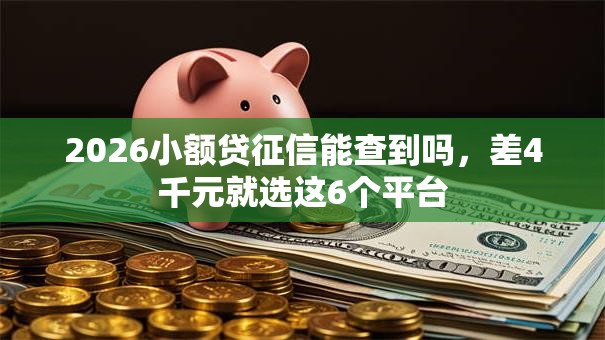 2026小额贷征信能查到吗，差4千元就选这6个平台