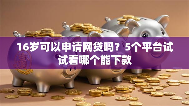 16岁可以申请网贷吗？5个平台试试看哪个能下款