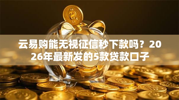 云易购能无视征信秒下款吗?2026年最新发的5款贷款口子 云易购能无视征信秒下款吗?2026年最新发的5款贷款口子