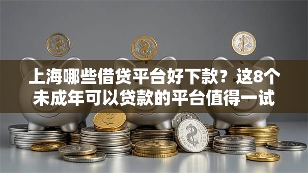 上海哪些借贷平台好下款?这8个未成年可以贷款的平台值得一试 上海哪些借贷平台好下款?这8个未成年可以贷款的平台值得一试