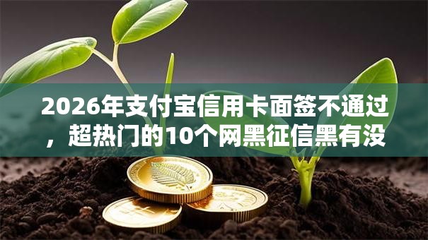 2026年支付宝信用卡面签不通过,超热门的10个网黑征信黑有没有下款的口子推荐 2026年支付宝信用卡面签不通过,超热门的10个网黑征信黑有没有下款的口子推荐