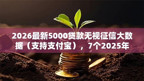 2026最新5000贷款无视征信大数据(支持支付宝),7个2025年12月借钱口子无私分享 2026最新5000贷款无视征信大数据(支持支付宝),7个2025年12月借钱口子无私分享