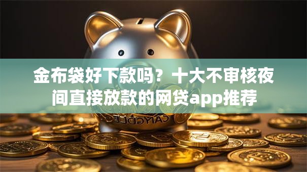 金布袋好下款吗？十大不审核夜间直接放款的网贷app推荐