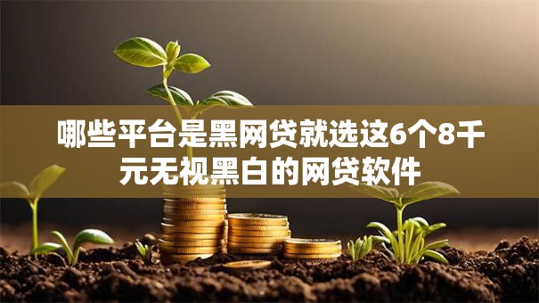 哪些平台是黑网贷就选这6个8千元无视黑白的网贷软件