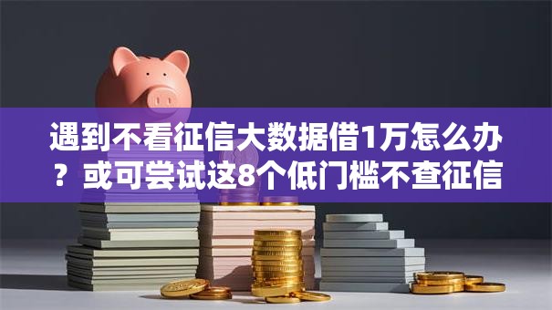 遇到不看征信大数据借1万怎么办？或可尝试这8个低门槛不查征信的口子