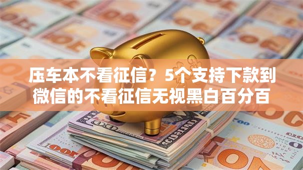 压车本不看征信？5个支持下款到微信的不看征信无视黑白百分百下款口子