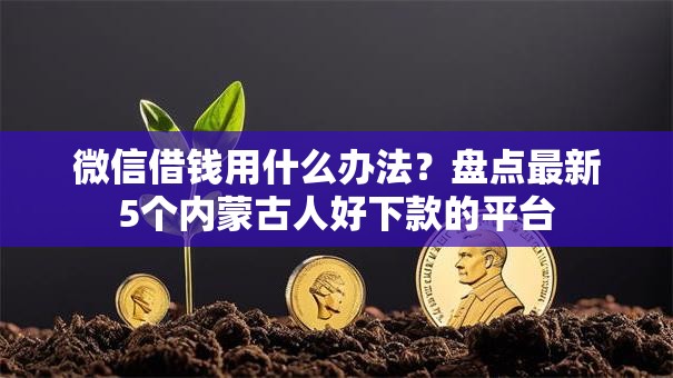 微信借钱用什么办法？盘点最新5个内蒙古人好下款的平台