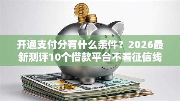 开通支付分有什么条件？2026最新测评10个借款平台不看征信线上放款快