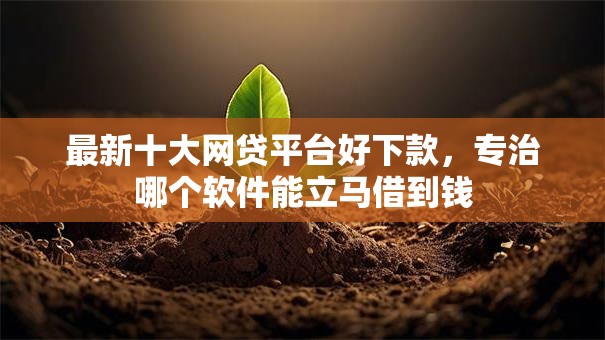 最新十大网贷平台好下款,专治哪个软件能立马借到钱 最新十大网贷平台好下款,专治哪个软件能立马借到钱