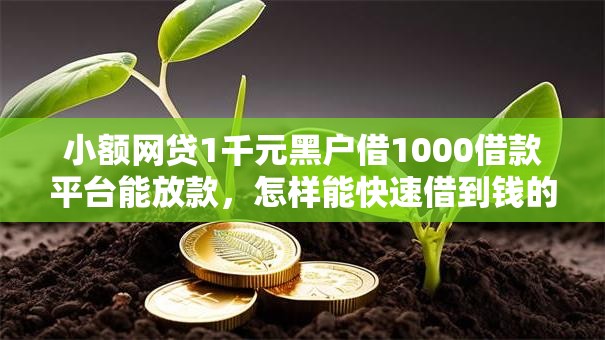 小额网贷1千元黑户借1000借款平台能放款,怎样能快速借到钱的5个平台介绍 小额网贷1千元黑户借1000借款平台能放款,怎样能快速借到钱的5个平台介绍