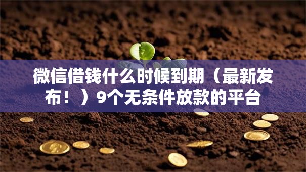 微信借钱什么时候到期（最新发布！）9个无条件放款的平台