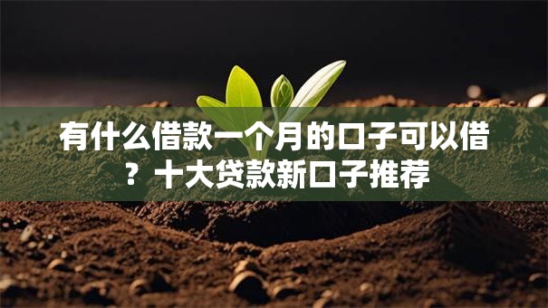 有什么借款一个月的口子可以借？十大贷款新口子推荐