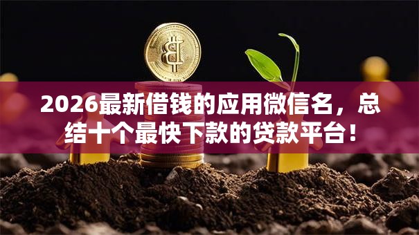 2026最新借钱的应用微信名，总结十个最快下款的贷款平台！