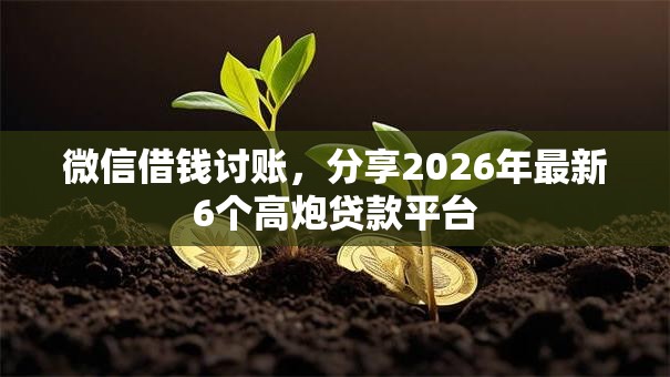 微信借钱讨账，分享2026年最新6个高炮贷款平台