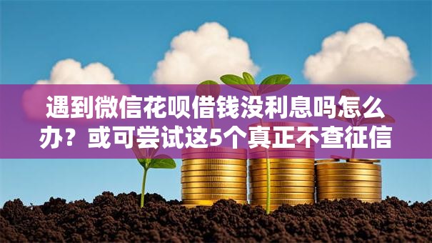 遇到微信花呗借钱没利息吗怎么办?或可尝试这5个真正不查征信的贷款口子 遇到微信花呗借钱没利息吗怎么办?或可尝试这5个真正不查征信的贷款口子