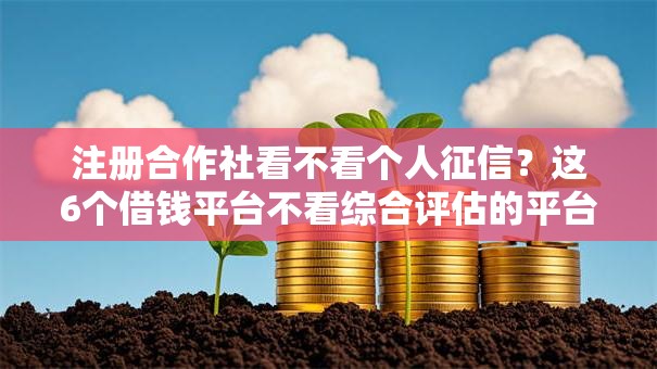 注册合作社看不看个人征信？这6个借钱平台不看综合评估的平台可以试试