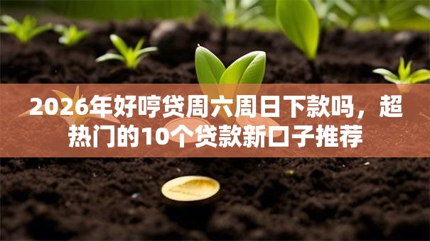 2026年好哼贷周六周日下款吗，超热门的10个贷款新口子推荐