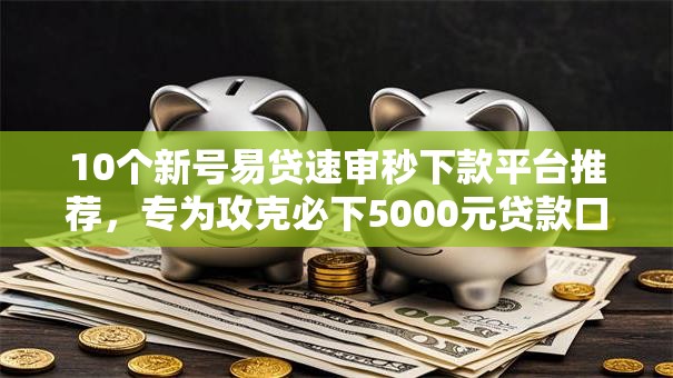 10个新号易贷速审秒下款平台推荐，专为攻克必下5000元贷款口子2025难题