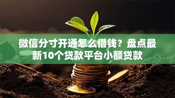 微信分寸开通怎么借钱？盘点最新10个贷款平台小额贷款