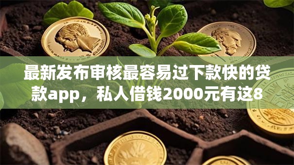 最新发布审核最容易过下款快的贷款app，私人借钱2000元有这8个渠道