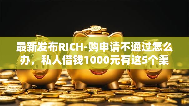 最新发布RICH-购申请不通过怎么办，私人借钱1000元有这5个渠道