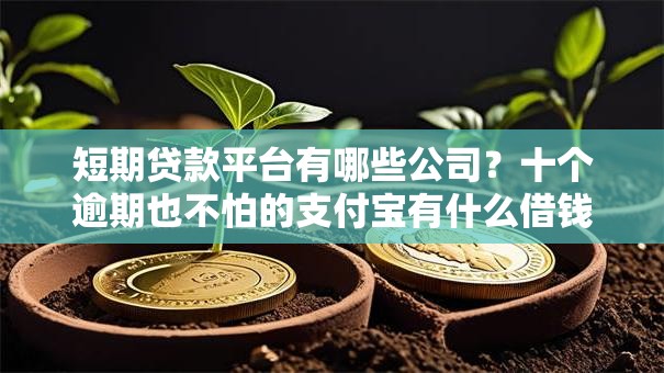 短期贷款平台有哪些公司？十个逾期也不怕的支付宝有什么借钱平台