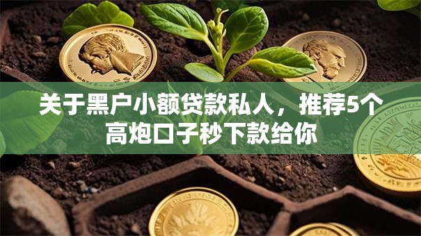 关于黑户小额贷款私人，推荐5个高炮口子秒下款给你