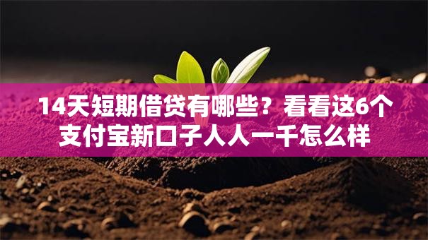 14天短期借贷有哪些？看看这6个支付宝新口子人人一千怎么样