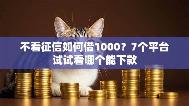 不看征信如何借1000？7个平台试试看哪个能下款