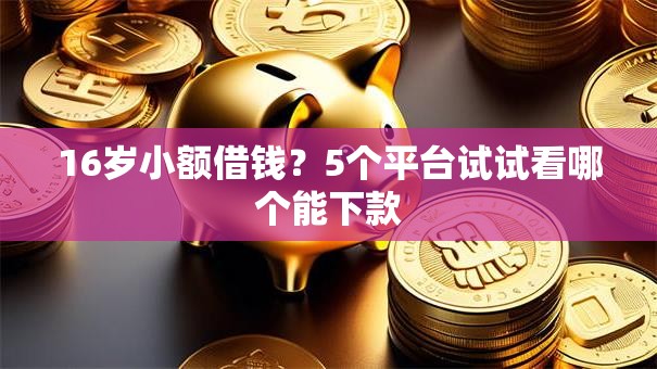 16岁小额借钱？5个平台试试看哪个能下款