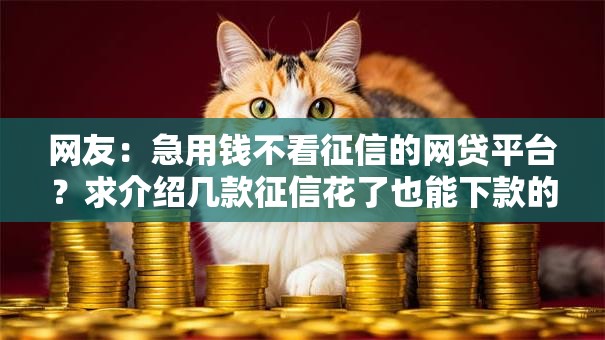 网友：急用钱不看征信的网贷平台？求介绍几款征信花了也能下款的平台