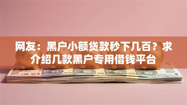 网友：黑户小额贷款秒下几百？求介绍几款黑户专用借钱平台