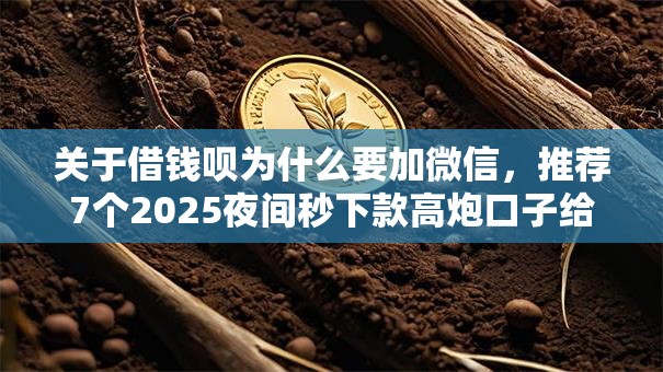 关于借钱呗为什么要加微信，推荐7个2025夜间秒下款高炮口子给你