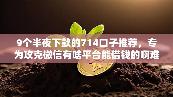 9个半夜下款的714口子推荐，专为攻克微信有啥平台能借钱的啊难题
