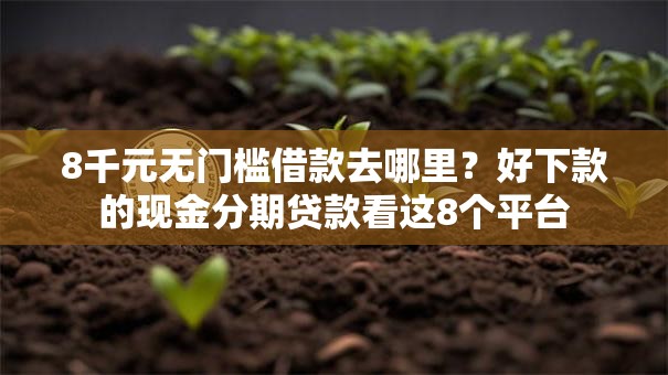 8千元无门槛借款去哪里?好下款的现金分期贷款看这8个平台 8千元无门槛借款去哪里?好下款的现金分期贷款看这8个平台