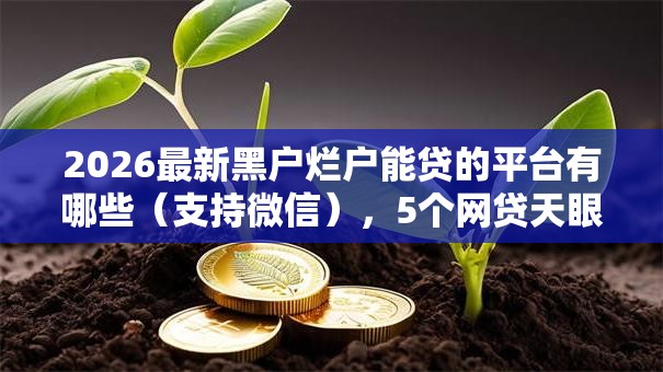2026最新黑户烂户能贷的平台有哪些(支持微信),5个网贷天眼平台无私分享 2026最新黑户烂户能贷的平台有哪些(支持微信),5个网贷天眼平台无私分享