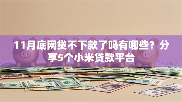 11月底网贷不下款了吗有哪些？分享5个小米贷款平台