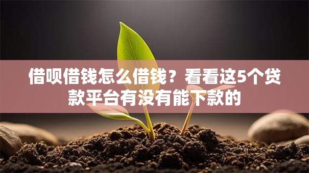 借呗借钱怎么借钱？看看这5个贷款平台有没有能下款的