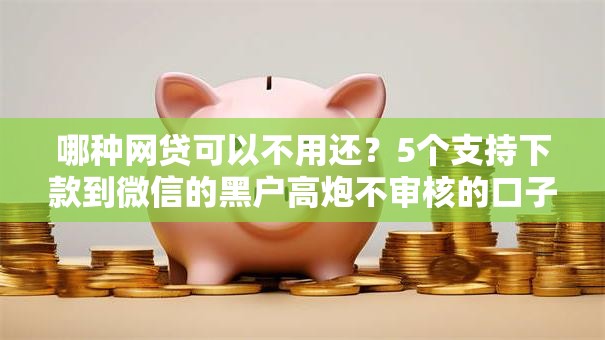 哪种网贷可以不用还？5个支持下款到微信的黑户高炮不审核的口子