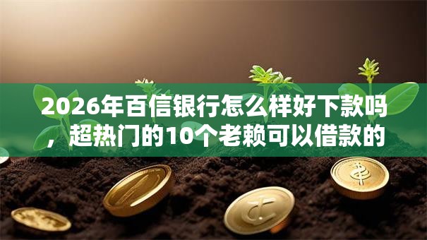 2026年百信银行怎么样好下款吗，超热门的10个老赖可以借款的平台的推荐