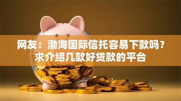 网友：渤海国际信托容易下款吗？求介绍几款好贷款的平台