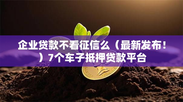 企业贷款不看征信么（最新发布！）7个车子抵押贷款平台