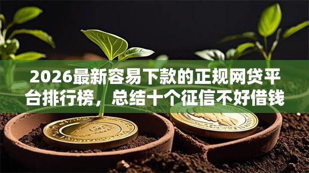 2026最新容易下款的正规网贷平台排行榜，总结十个征信不好借钱的平台！