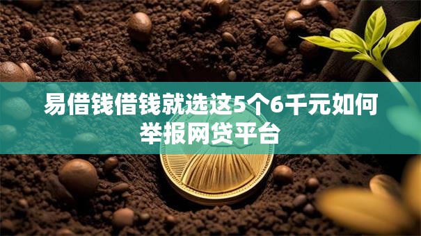 易借钱借钱就选这5个6千元如何举报网贷平台